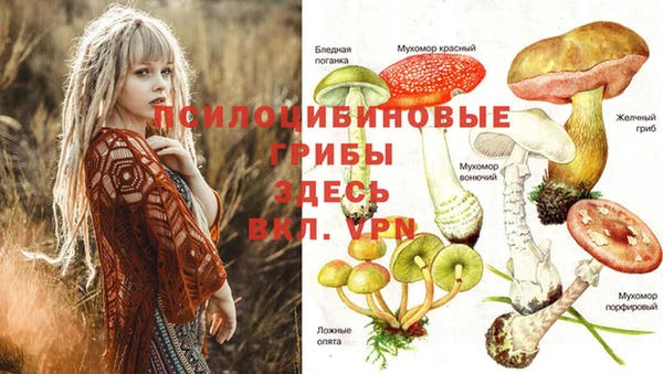 герыч Аркадак