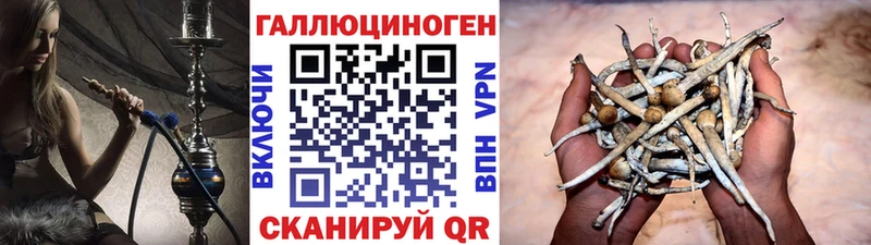 Псилоцибиновые грибы GOLDEN TEACHER  Нижняя Тура 